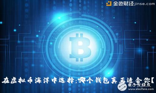 在虚拟币海洋中选择：哪个钱包真正适合你？